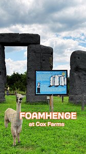 You won’t believe what’s been hiding at Cox Farms in Centreville, VA - a full-size foam replica of Stonehenge! Foamhenge is one of Virginia’s best roadside attractions, and best-kept secrets. It’s nestled in a farm and accessible only by a super fun & scenic tractor hay ride. The farm is also home to an assortment of animals that you can see up close, but not too close. (additional 📸 @patjarrett & Getty) 📌Corner Market/Cox Farms 15621 Braddock Rd, Centreville, VA 20120 🕰️ The Corner Market is