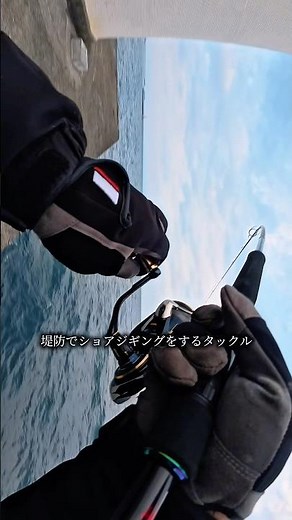 The ultimate tackle for shore jigging from breakwaters!
