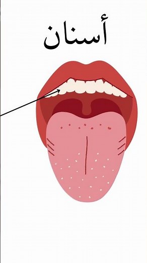 Learn the names of body parts in Arabic | In one lesson