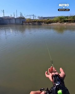 1.8M views · 3.9K reactions | One of the best fishing gadgets going | Metro | Facebook