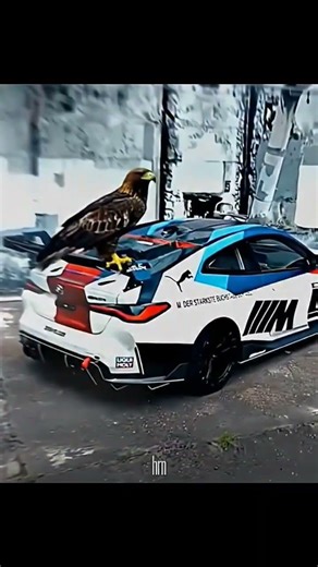 hanumankind BMW #edit