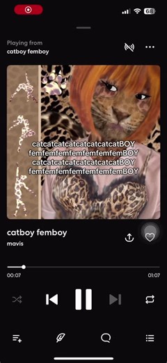 Catboys and Femboys: Hyperpop Music Experience