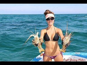 Catching LOBSTER in the Florida Keys