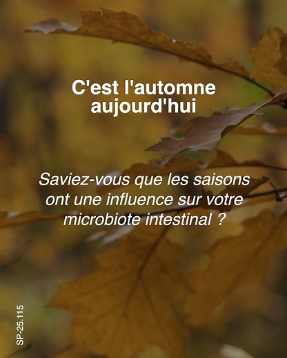Le microbiote intestinal fluctue au fil des saisons mais aussi tout au long de la journée, révèle une étude d’une équipe de biologistes et gastroentérologues de l'Université de Californie, San Diego (1). L’étude avait pour but d’examiner les données de 20.000 échantillons de selles collectées dans le cadre du programme d’étude American Gut Project, le plus grand projet de recherche mondial sur le microbiome, mené dans le monde entier entre 2013 et 2019 (1). Des fluctuations saisonnières sont obs