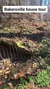 6.1K views · 87 reactions | Coree Loffink on Reels | Facebook