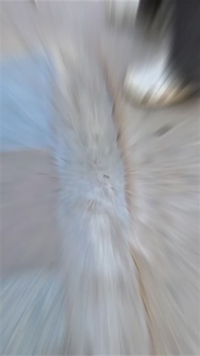 Nikku on Instagram: "Any one know UB city mall full form??🤔 . 📍UB City mall 24, Vittal Mallya Road, Sampangi Rama Nagar centrally located in CBD Near MG road . . #viralreels #minivlog #explore #trending #fypage"