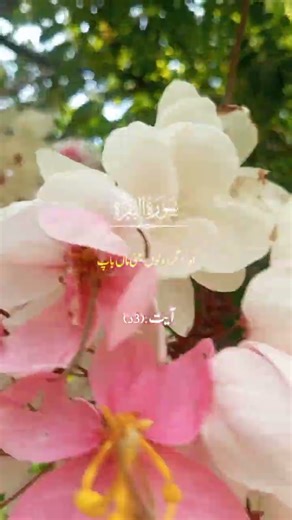 hadees e hazrat Muhammad,hadeese in urdu shorts, hadeese qudsi‎‎