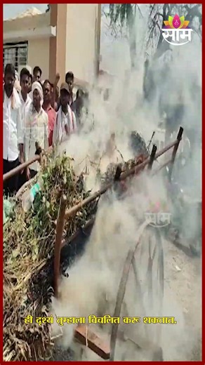 बुलढाण्यात शेतकरी आक्रमक! सोयाबीनसह बैलगाडी पेटवली! | Buldhana Farmers Protest