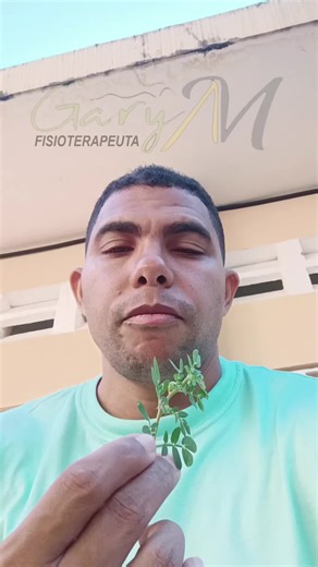 Beneficios del Tribulus Terrestris para la Relajación