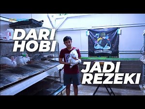 Ternak Kelinci secara Mandiri, Sukses Perawatan hingga Penjualan 🐰⁉️