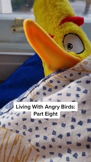 Morning Bathroom Rush Struggles 😤 - Living With Angry Birds