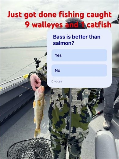 Is bass better then salmon