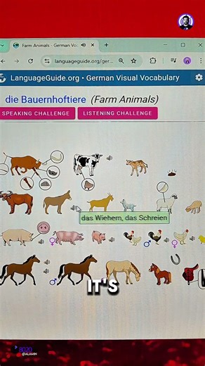 Best Website For Learning Basic Words & Phrases