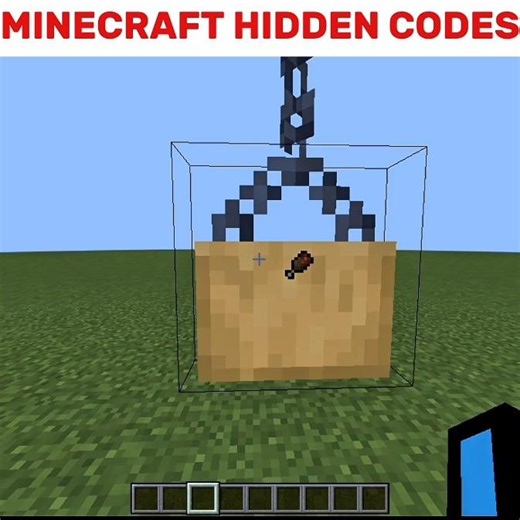 Minecraft HIDDEN Codes You Didn't Know! 😱 #shorts #minecraft