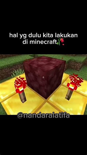 momen nostalgia minecraft #minecraft