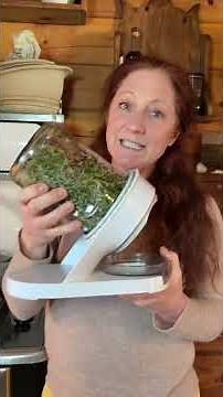 Organic Broccoli Sprouting Kit by The Sprouting Company for growing your own food, growing