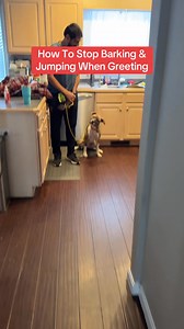 10K views · 81 reactions | How To Stop Barking & Pulling...