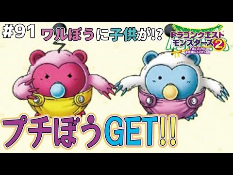 【プチぼう】裏ボスクリア後小ネタ、ワルぼうからのプレゼント。ドラゴンクエストモンスターズ2イルルカを実況プレイ！