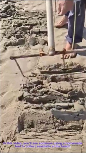 Homemade Tool for Seashell Collecting at the Beach