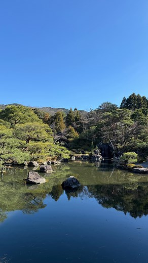 京都のミニツアー「まいまい京都」 | , まいまいツアーにはお庭と建築好きさん にたまらないコースがたくさんあります！ 1/12開催の對龍山荘コースもまさにそう。 南禅寺界隈の別荘群の中のひとつ、 對龍山荘は建物が国の重要文化財、 庭園は国の名勝に規定されていると いう素晴らしい邸宅。... | Instagram