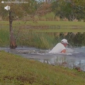 Dit is de aangrijpende opname waarin te zien is hoe een man in het water springt om zijn hond uit de kaken van een krokodil te redden. Is het hem gelukt om zijn hondje te redden? | Positief
