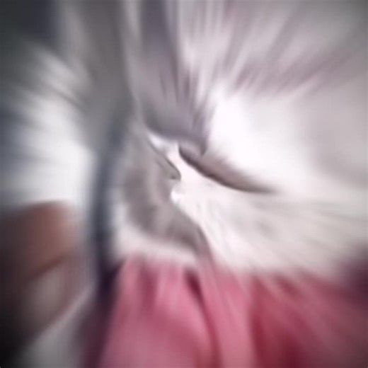 Noster (@bbenosy)’s videos with original sound - Noster