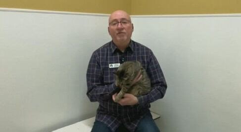 Meet the Regina Humane Society's Pet of the Week