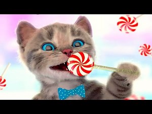 ADVENTURE OF A LITTLE KITTEN cartoon about kittens cartoon for kids and toddlers cartoons on #922