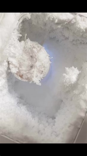 Freezer frost eating (@freezer.frost.eat) - Humidifier Freezer Frost ASMR: Crisp Sounds and Melting Ice