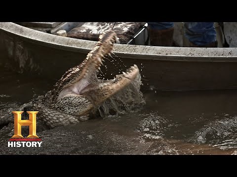 Swamp People: Big Gator Rewards for Troy and Terrel (Season 11) | History