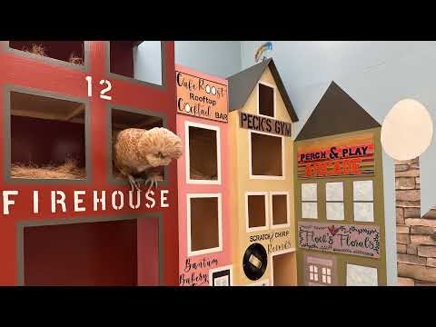 Peckington Square Chicken City Livestream 24/7 Cam