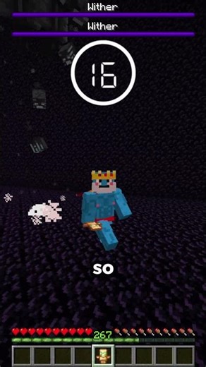 Can I Survive Against TWO Withers? 💥 Part 6