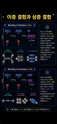 분80 이중결합과 삼중결합의 구조: 혼성화궤도함수, 시그마와 파이 결합 #과학 #화학 #분자구조 #화학결합 #루이스구조 #VSEPR #orbital #chemistry