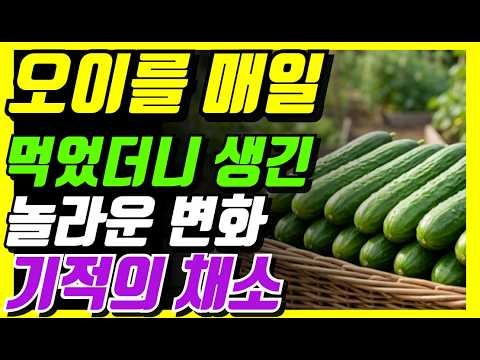 "오이"를 매일 먹으면 우리 몸에 나타나는 놀라운 변화 | 오이 효능 #오이 #오이건강법 이 #오이효능