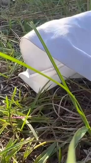 Always trust the process! (843) 902-5706 www.thesnakechaser.com #wildliferemoval #snakeremoval #batremoval #squirrelremoval #beeremoval #opossumremoval #coyoteremoval #foxremoval #alligatorremoval #wildlifenuisanceremoval #raccoonremoval #birdremoval #moleremoval #beaverremoval #wildlifenuisance #skunkremoval | The Snake Chaser