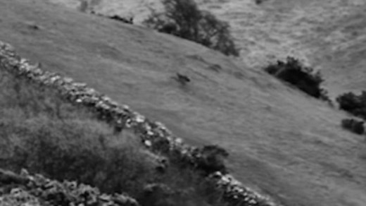 Black Mirror launches with killer robo-dogs that hunt humans