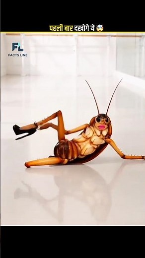 HOW COCKROACHES LIVE HEADLESS! 🤯