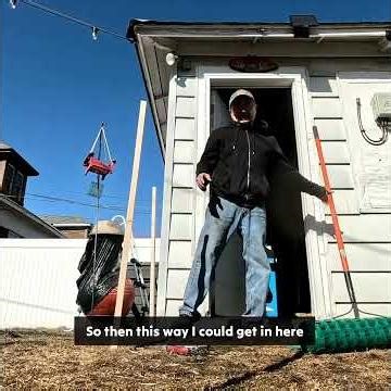 How to protect your lawn from a playful puppy on a budget.