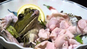 16K views · 3 comments | Live frog sashimi - Weird food | ThatCool TV | Facebook