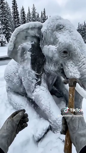 Waking Up a Sleeping Legend: The Arctic Elephant