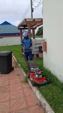 The Best Grass To Increase Your Value Of Your Property #coconutbusiness #estatehomes #property