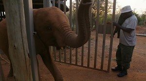 196K views · 10K reactions | Enjoy a glimpse into Lemeki’s world...