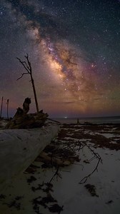 Milky Way slider timelapse from Florida. Comment “tutorial” in the comment section and I will send you info on my timelapse tutorial 👍🤩 #timelapse #milkyway #nightsky | Jason Rice Astro