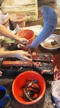 How to Cut Catfish Like a Pro | Fast & Easy Filleting Skills