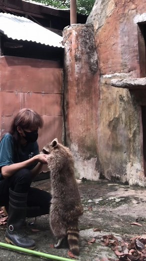 shane (@wrldofsh)’s videos with original sound - urfavvvvnawk999