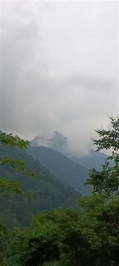 #石鎚山 #石鎚山1982m #大山積見大神 #みそぎ祓祝詞 #伊邪那岐命 #西暦2026年6月19日 #午後15時58分