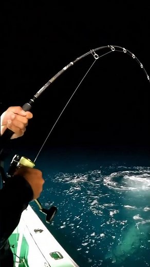 🤯 GIANT Deep Sea Monster Caught! 🎣 Unbelievable Fishing Trip! 😱