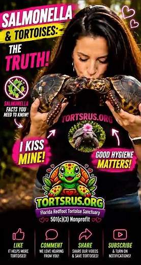 The Truth About Tortoises & Salmonella