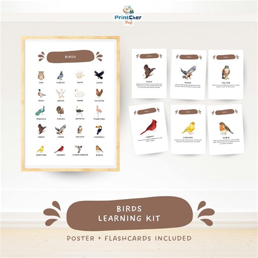 Birds: Animals Classification Learning Kit | Poster and Flashcards Bundle Printable - Etsy