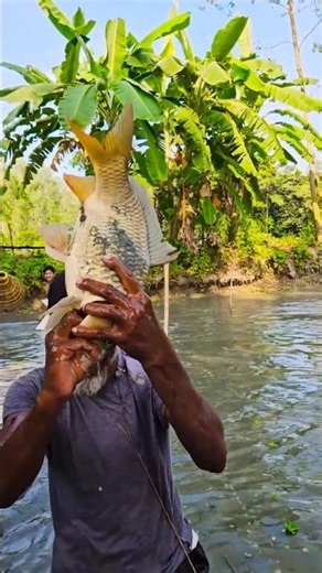 How Fisherman Use Gear To Catch Big Fish💪🔥‪@RAWWFishing‬ #fish #shorts #nature 🐋🐠❤